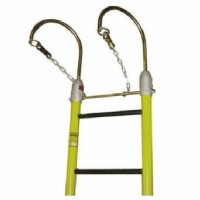 14FT Ladder c/w 7-1/2in Hooks